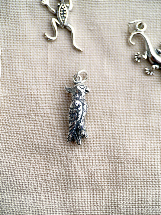 Pet Bird Pendant in Solid Sterling Silver, Favorite Animal Themed Fine Jewelry Charms - Timeless, Sustainable, @JewelryOnRepeat