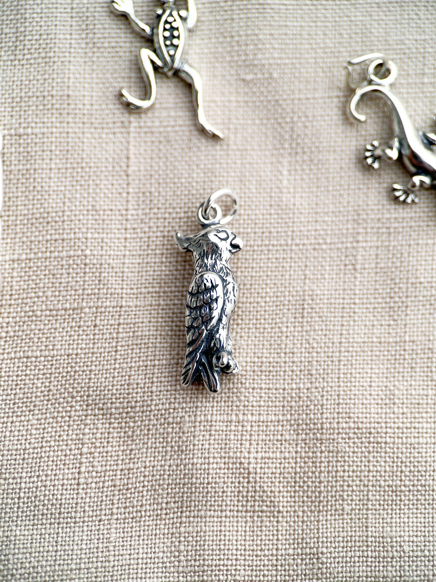 Sterling Silver Parrot Charm Pendant, Pet Bird Themed Minimalist Jewelry, Gift for Her