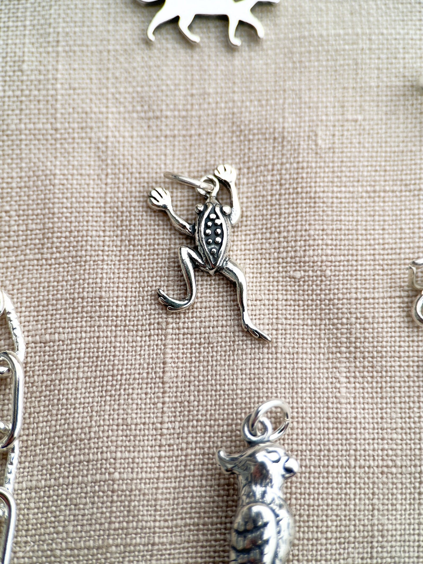 Sterling Silver Frog Charm Pendant, Pet Reptile Themed Minimalist Jewelry, Gift for Her