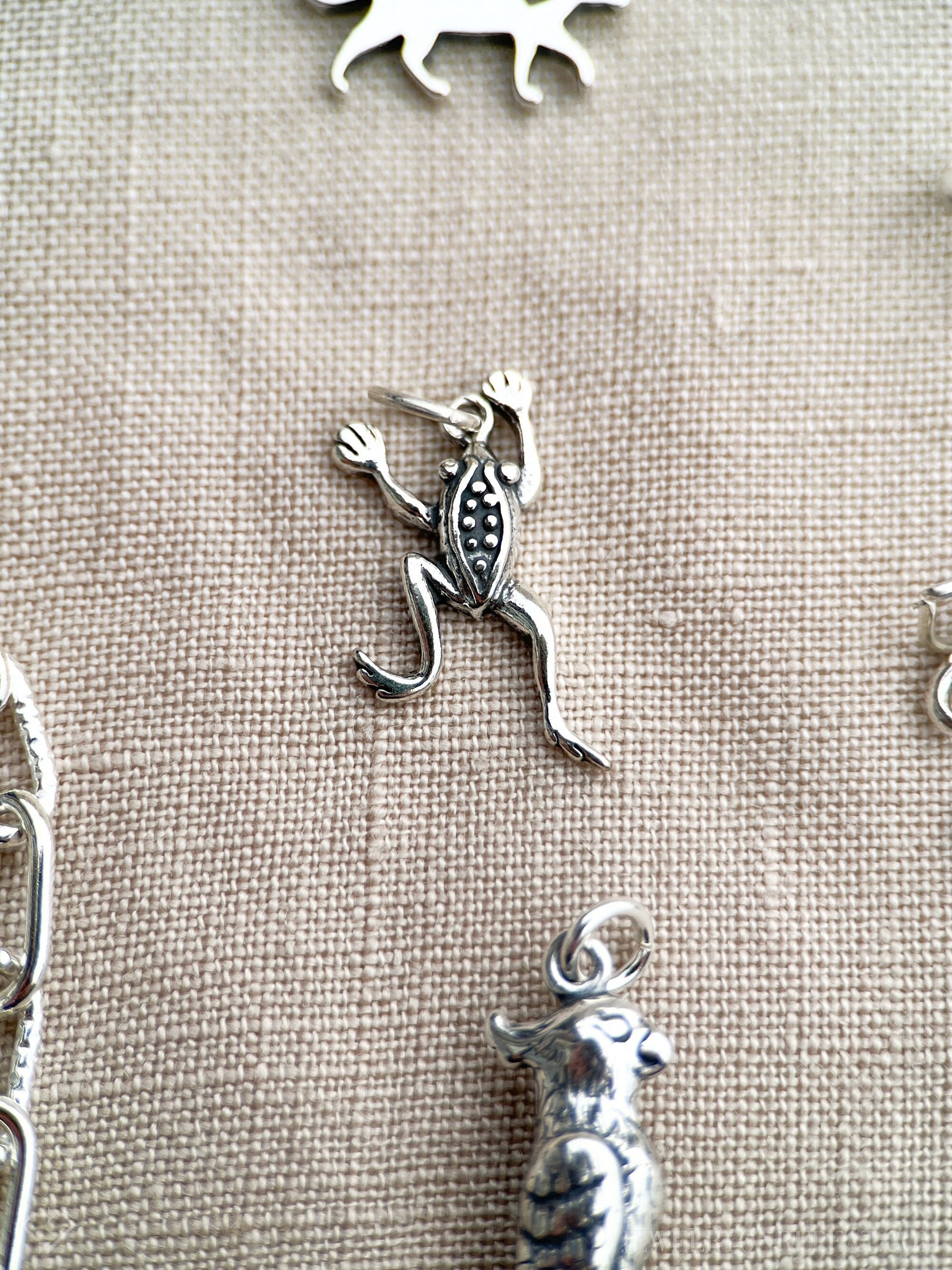 Sterling Silver Frog Charm Pendant, Pet Reptile Themed Minimalist Jewelry, Gift for Her