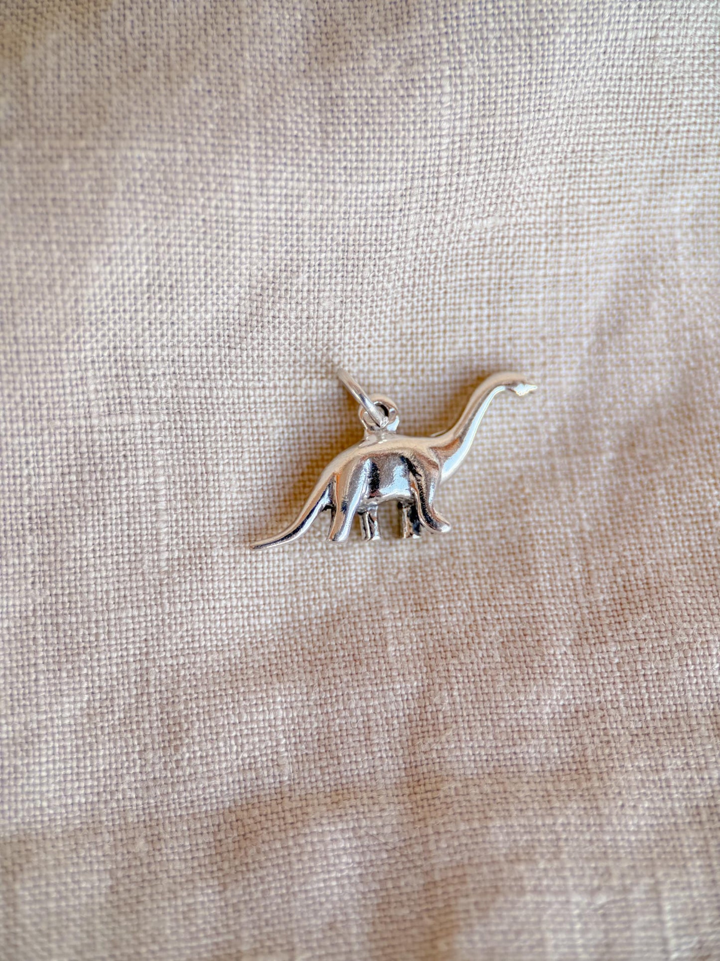 Sterling Silver Brontosaurus Dinosaur Charm Necklace, Minimal Layering Jewelry, Gift for Her