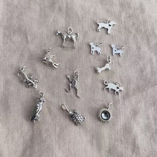 Sterling Silver Lizard Charm Pendant, Pet Reptile Themed Minimalist Jewelry, Gift for Her