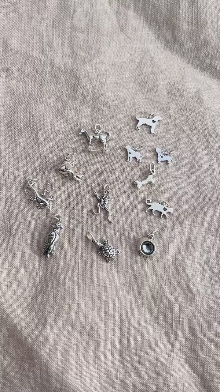 Sterling Silver Lizard Charm Pendant, Pet Reptile Themed Minimalist Jewelry, Gift for Her