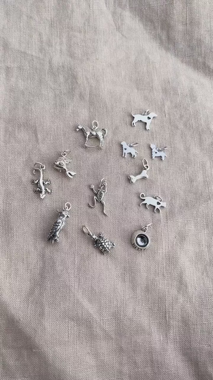 Sterling Silver Parrot Charm Pendant, Pet Bird Themed Minimalist Jewelry, Gift for Her